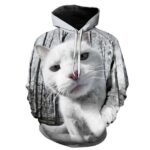 Sublimation Hoodies